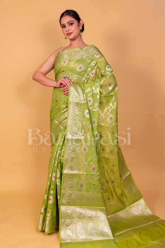 Light Green Banarasi geprgette Saree All over jaal silver zari work meenakari